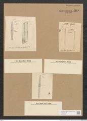 Diatomeae indet. (de-Toni-Nr.: Species 1991 ?) Zeichnungen Sammlung Grunow Nr. 4360 (NHMW-BOT-W0372535)